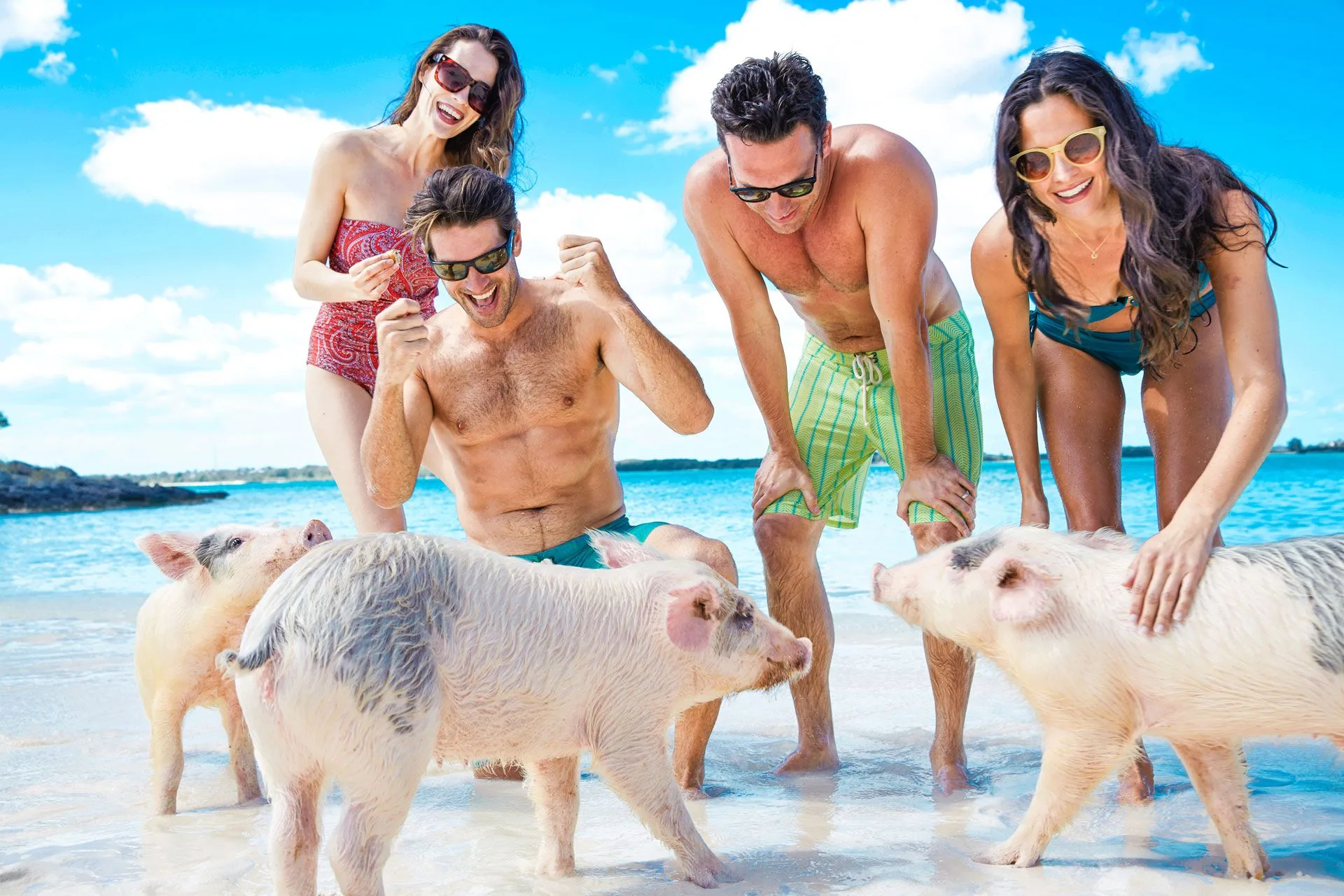 Swiming with Pigs in Pig Island Nassau Bahamas Tour